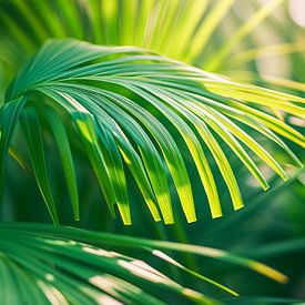 Golden leaf palm magic by Steffen Gierok