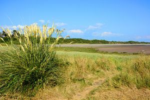 Ebbe am Solway Firth in Powfoot