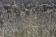 Weathered Concrete Seawall by Frans Blok - photos, art and other wall decoration thumbnail