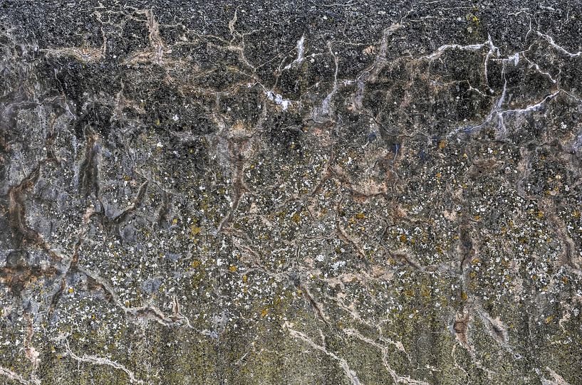 Weathered Concrete Seawall by Frans Blok - photos, art and other wall decoration