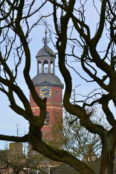 Kerktoren door de bomen van The Dragonfly