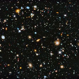 Digital Universe profielfoto