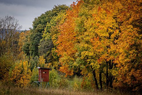Un stand en hauteur dans un décor automnal
