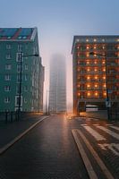 Zaandam im Nebel