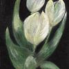 Tulipes blanches dessinées sur papier noir sur Ineke de Rijk