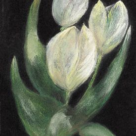 White tulips drawn on black paper by Ineke de Rijk