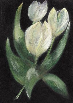 Witte tulpen getekend op zwart papier