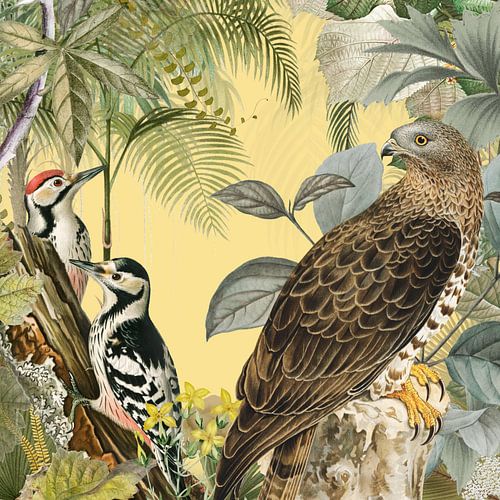 The Strange Outdoors