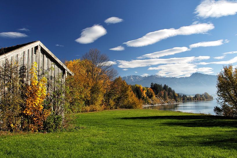 Herbst am Forggensee von Dirk Rüter