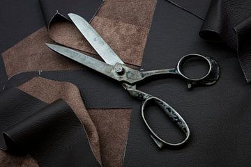 Close-up of a pair of shears. by Hennnie Keeris