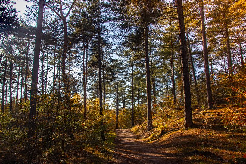 Autumn scene by Esmeralda Fotografie