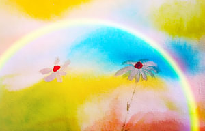 Regenbogen