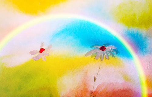 Regenbogen