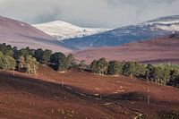 Mountains at Mar lodge 