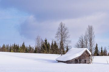 Landschaft mit Schnee und Holzhütte im Winter in Kuusamo, Finnl