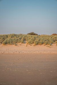 Sommerabend in den Dünen - Rustikale Strandlandschaft - Flushing