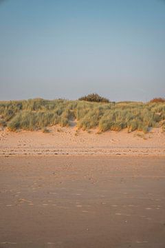 Zomeravond in de Duinen Rustieke Strandlandschap Vlissingen van Femke Ketelaar