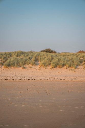 Soirée d'été dans les dunes - Paysage de plage rustique - Flushing
