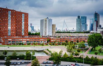 La ligne d'horizon de Rotterdam sur Annemarie van der Hilst