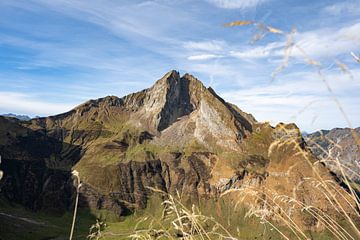 Blick auf die Höfats von Leo Schindzielorz