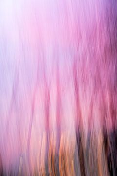 The silent witnesses of light (2 of 10) by Linda Hutten