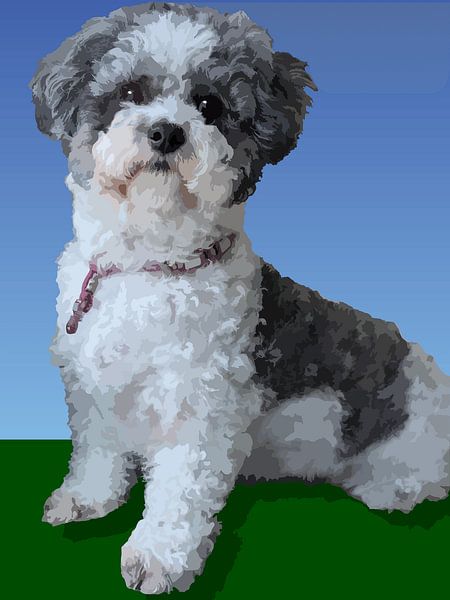 204. Milu by Domstad Rudie