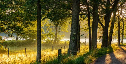 Natur rund um Eindhoven 2025