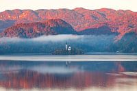Herbst - Bleder See Slowenien