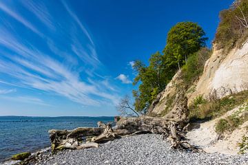 Chalk cliff on shore of the Baltic Sea