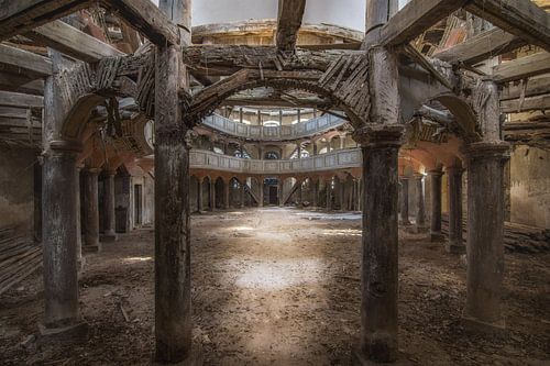 Oud hout vergaat niet 