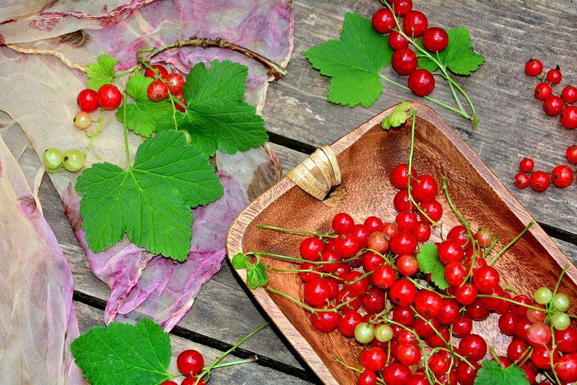 Berries Still Life by Claudia Evans