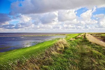 Wadden Sea by Bo Valentino
