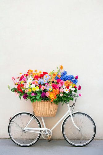 Bloemenfiets met kleurrijke bloemen