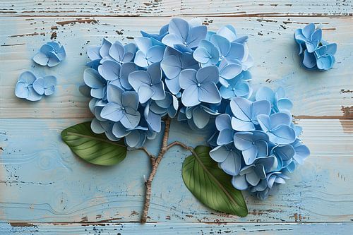 Hortensia bleu dans un vase