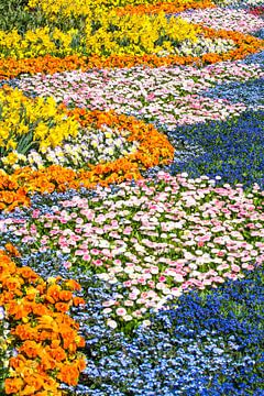 Kleurrijk bloembed van ManfredFotos