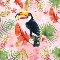 Toekan tropical
