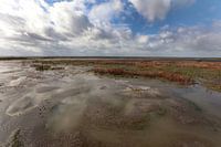 Marker Wadden