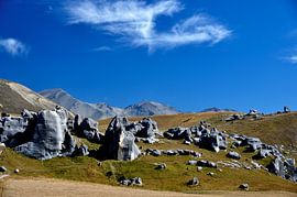 Castle Hill: juweel van de Nieuw-Zeelandse Alpen