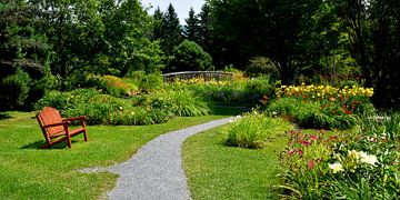 Un sentier du jardin en été