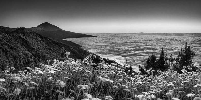 Ténériffe en Espagne avec volcan en noir et blanc par Manfred Voss, Photographie Noir et Blanc
