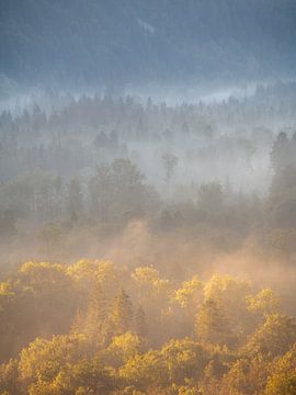 Schöner Morgen mit Nebel über den herbstlich gefärbten Wäldern des französischen Jura.