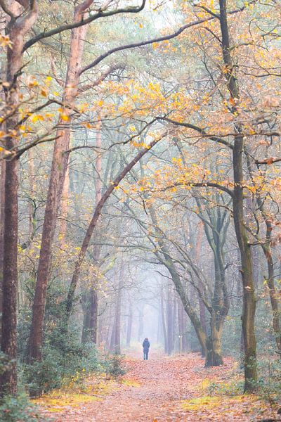 Wandelaar in de ochtend op Heidestein! van Peter Haastrecht, van