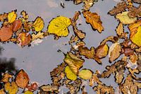 Werelddeel Herfst