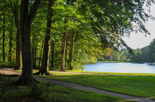 Meer in het Haagse Bos