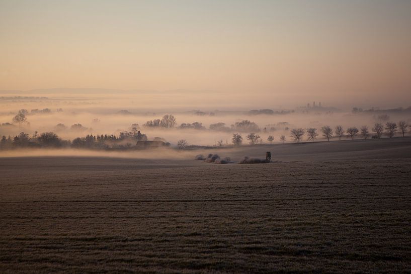 Landschap in mist van t.ART