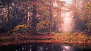 Nebliger Morgen