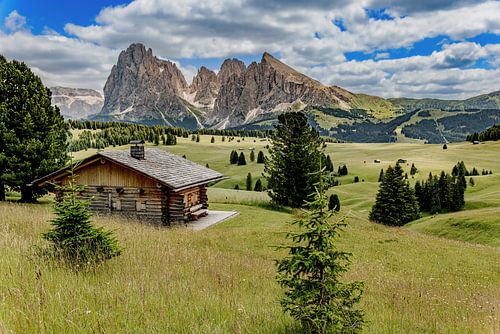 Alpe de Siusi, Dolomites