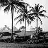 Photo en noir et blanc d'une rizière à Bali (partie 3 du triptyque) sur Ellis Peeters