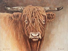 Highlandcattle 3 von Diedel Heidemann