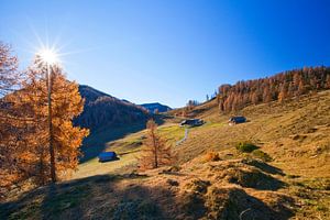 Herbstzauber auf der Lackenalm